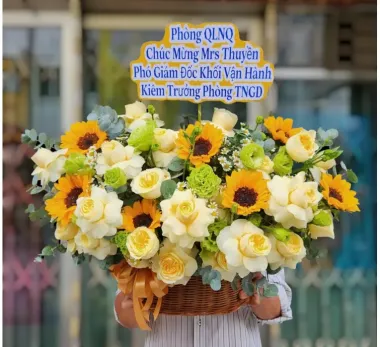 chậu lan hồ điệp trắng 7 cành