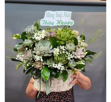 Hoa sen đá mừng khai trương