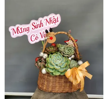Giỏ Hoa Sen Đá