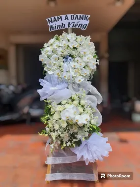 bó hoa hồng cam spirit