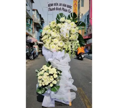 Bình Hoa Địa Lan Vàng 