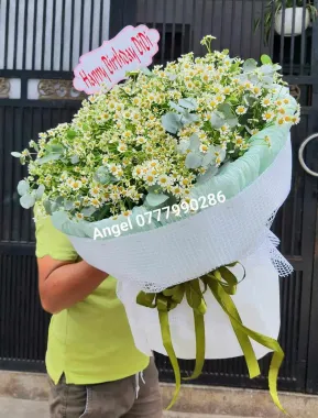 Bó hoa cúc tana đẹp nhất quận 10 tphcm