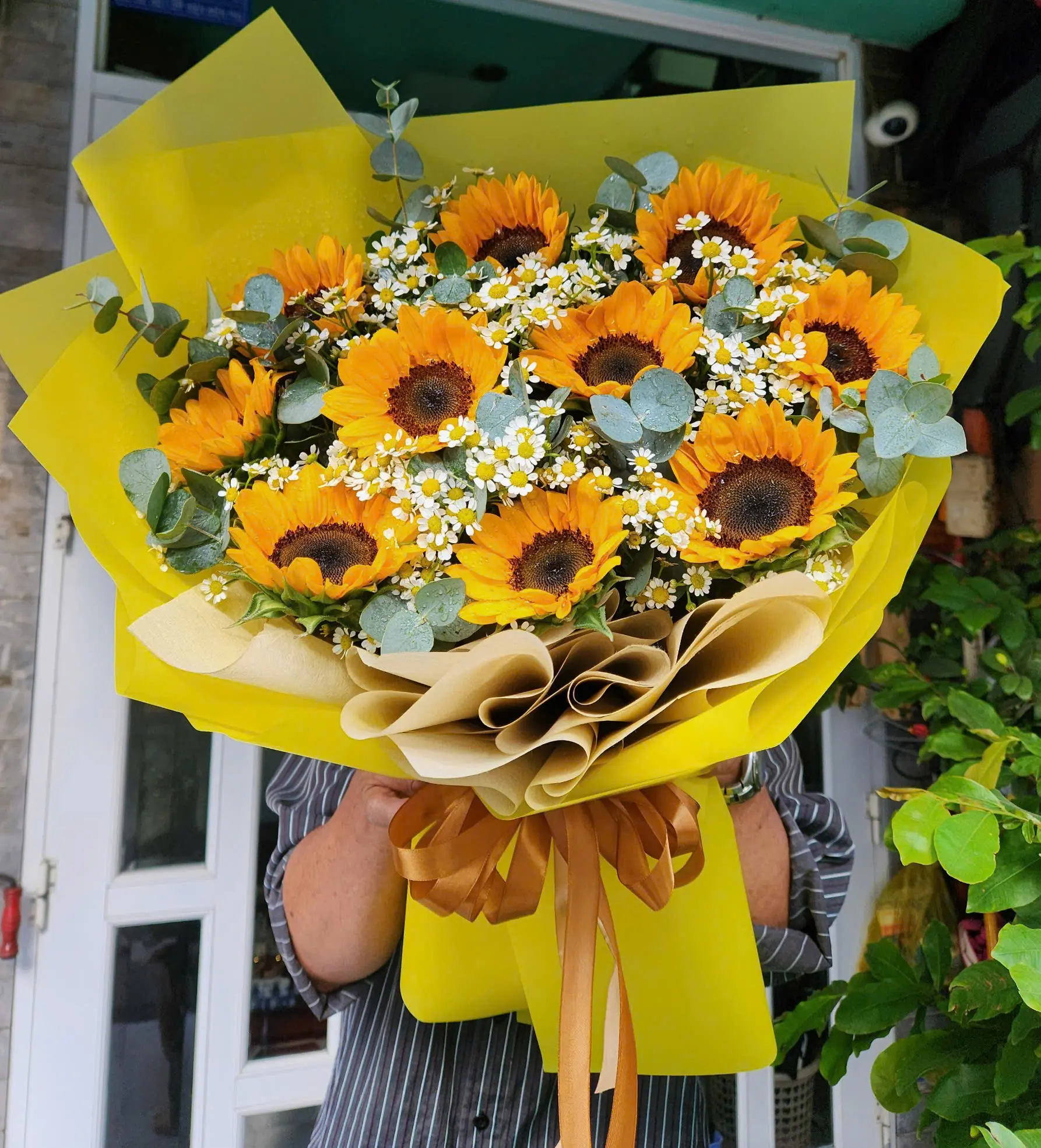 B&oacute; Hoa Hướng Dương
