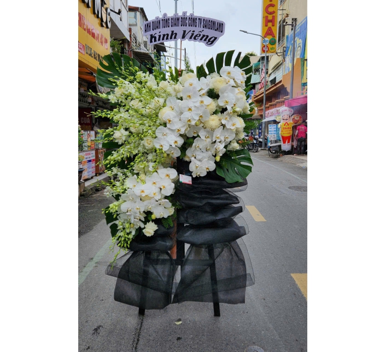 Dịch vụ