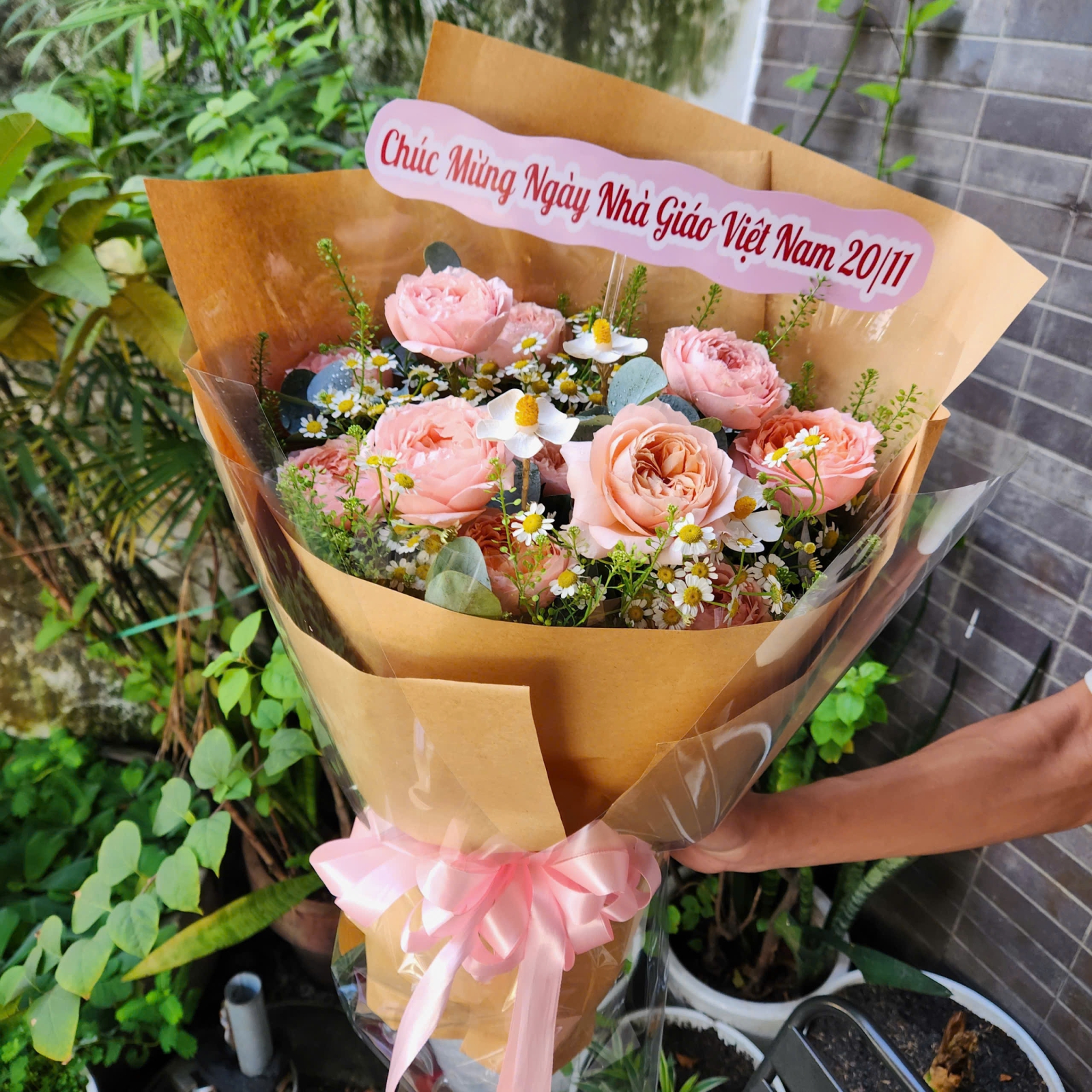 Bó Hoa Cẩm Chướng Đẹp Sang Trọng – Lựa Chọn Hoàn Hảo Cho Phái Nữ