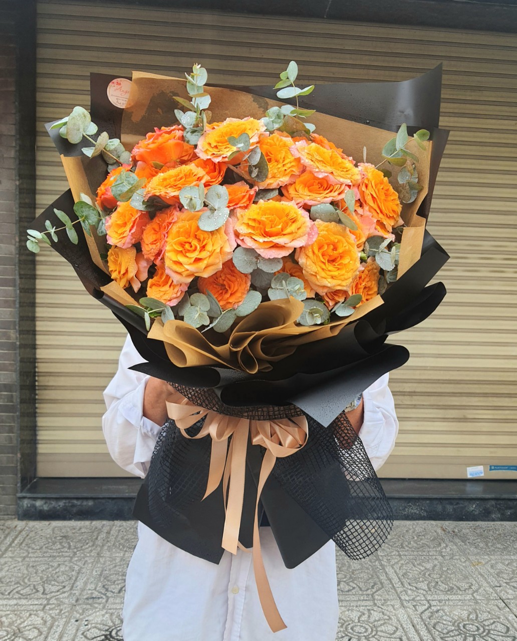 HỌA MI NỒNG NÀN HÀ NỘI