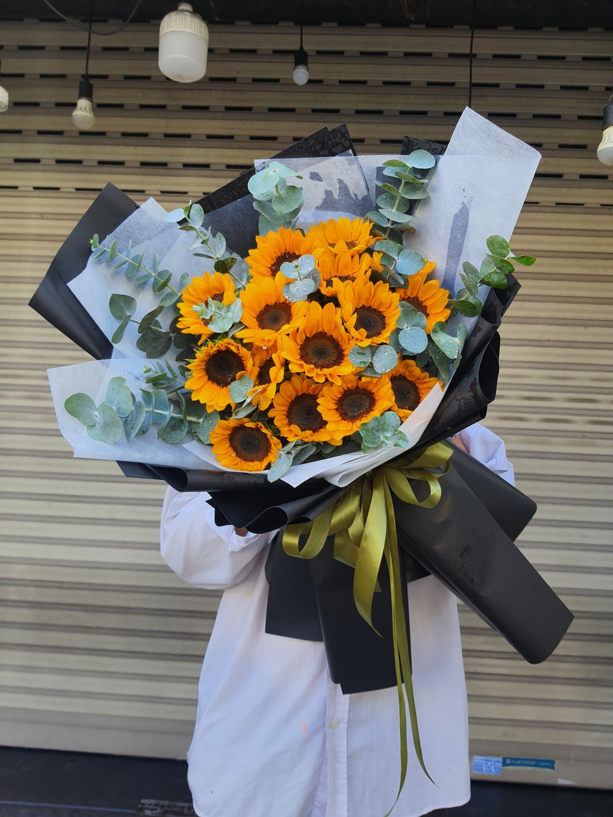 chậu lan hồ điệp 7 cành