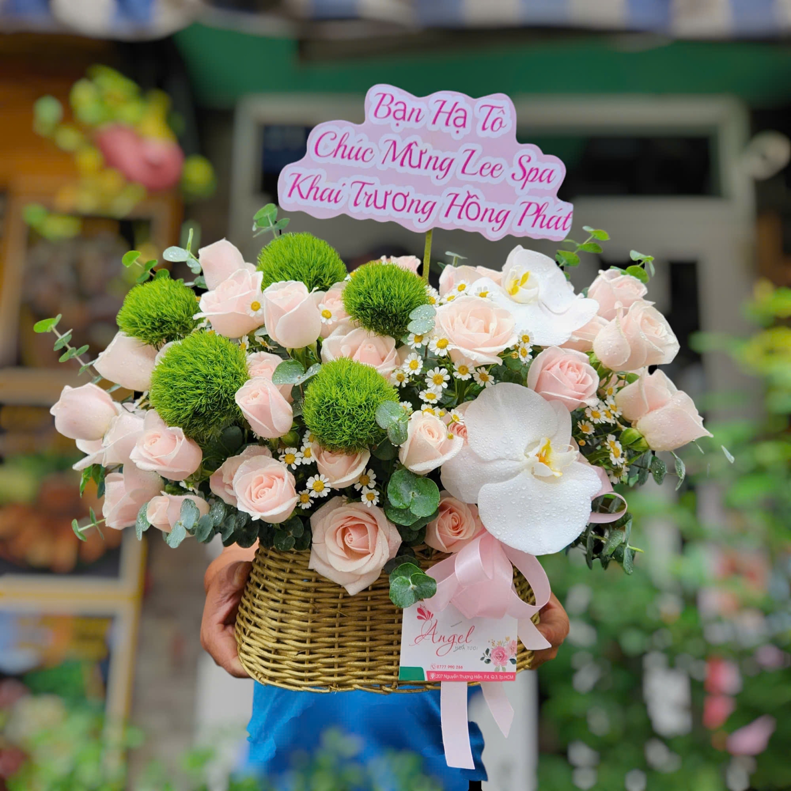 HỌA MI NỒNG NÀN HÀ NỘI