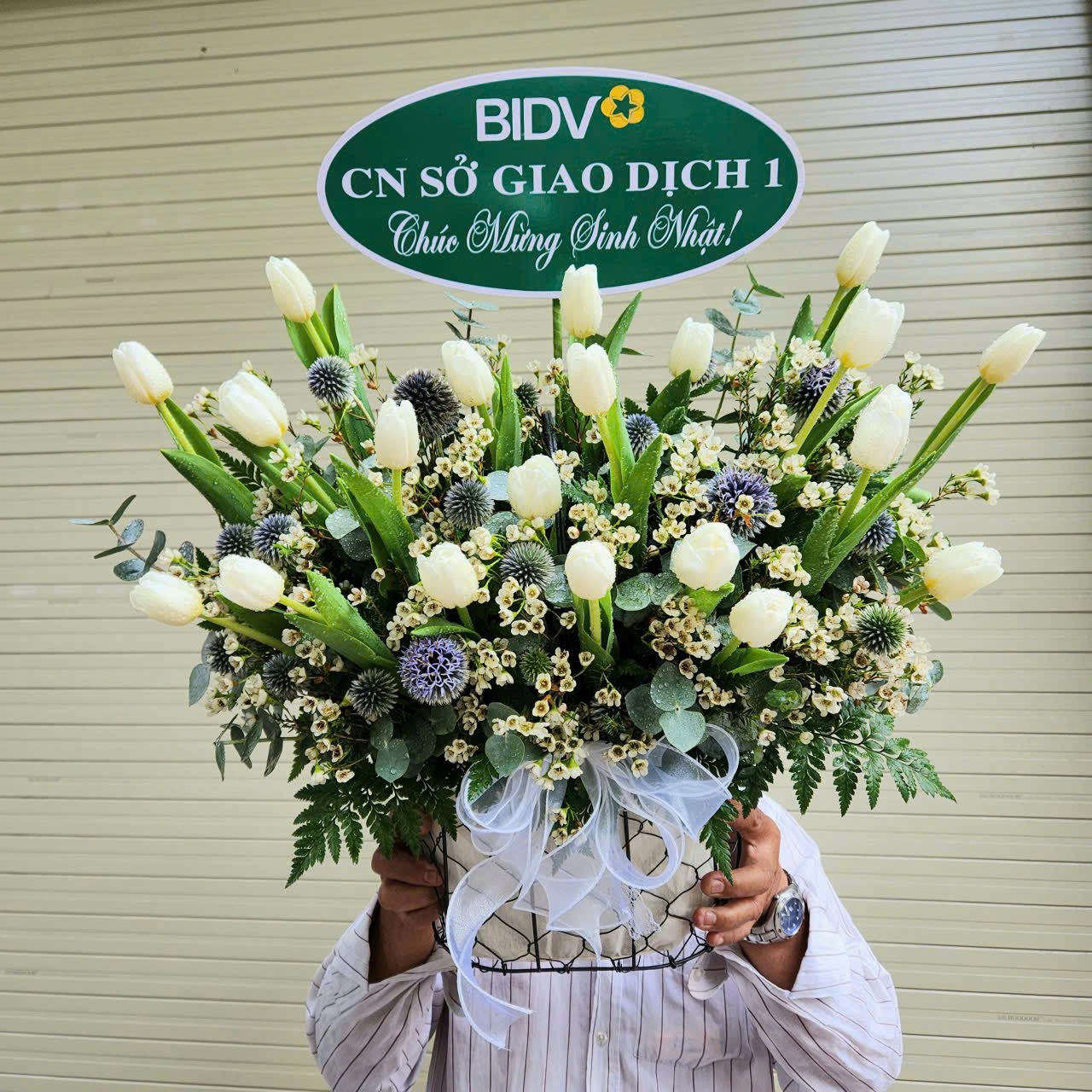 Giỏ Hoa Tulip Trắng 