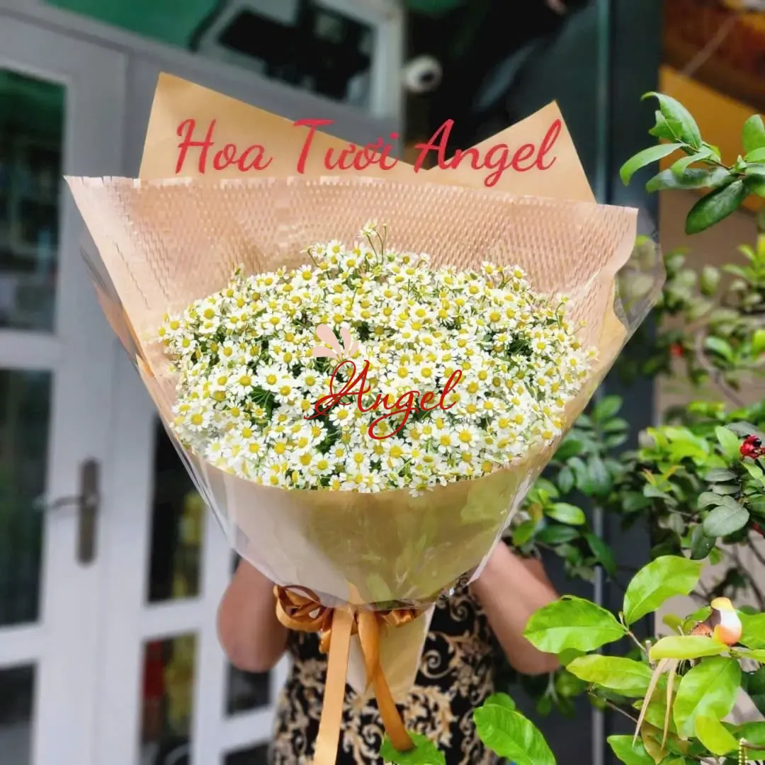 Bó Hoa Cúc Tana Đẹp Nhẹ Nhàng – Quà Tặng Tinh Tế Tại TP.HCM 