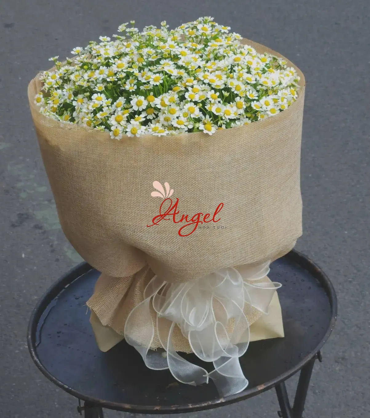 Bó Hoa Cúc Tana Tặng Sinh Nhật, Kỷ Niệm Ý Nghĩa