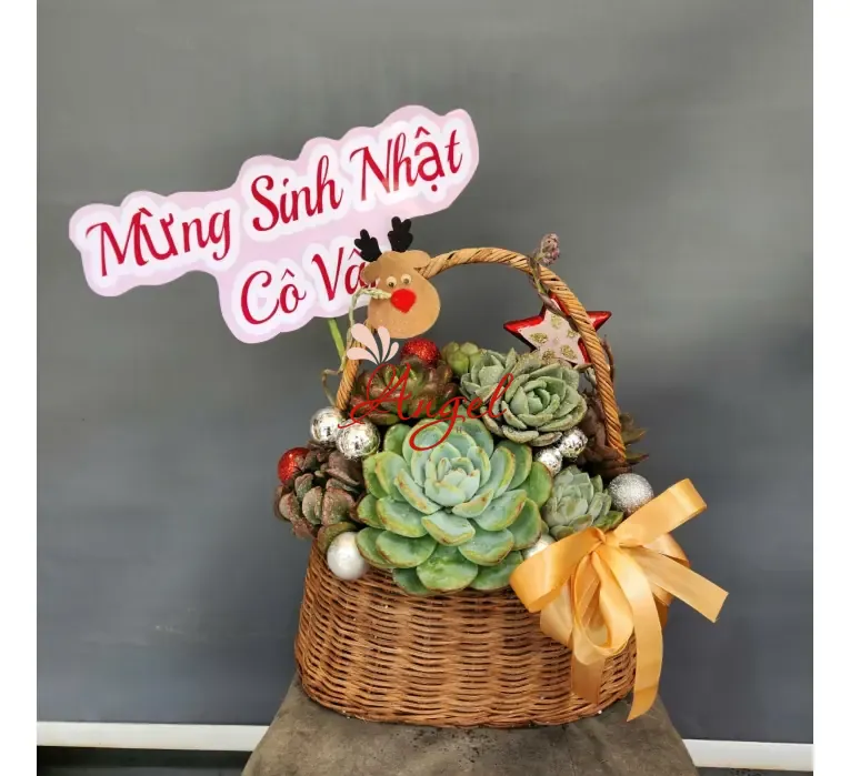 Giỏ Hoa Sen Đá