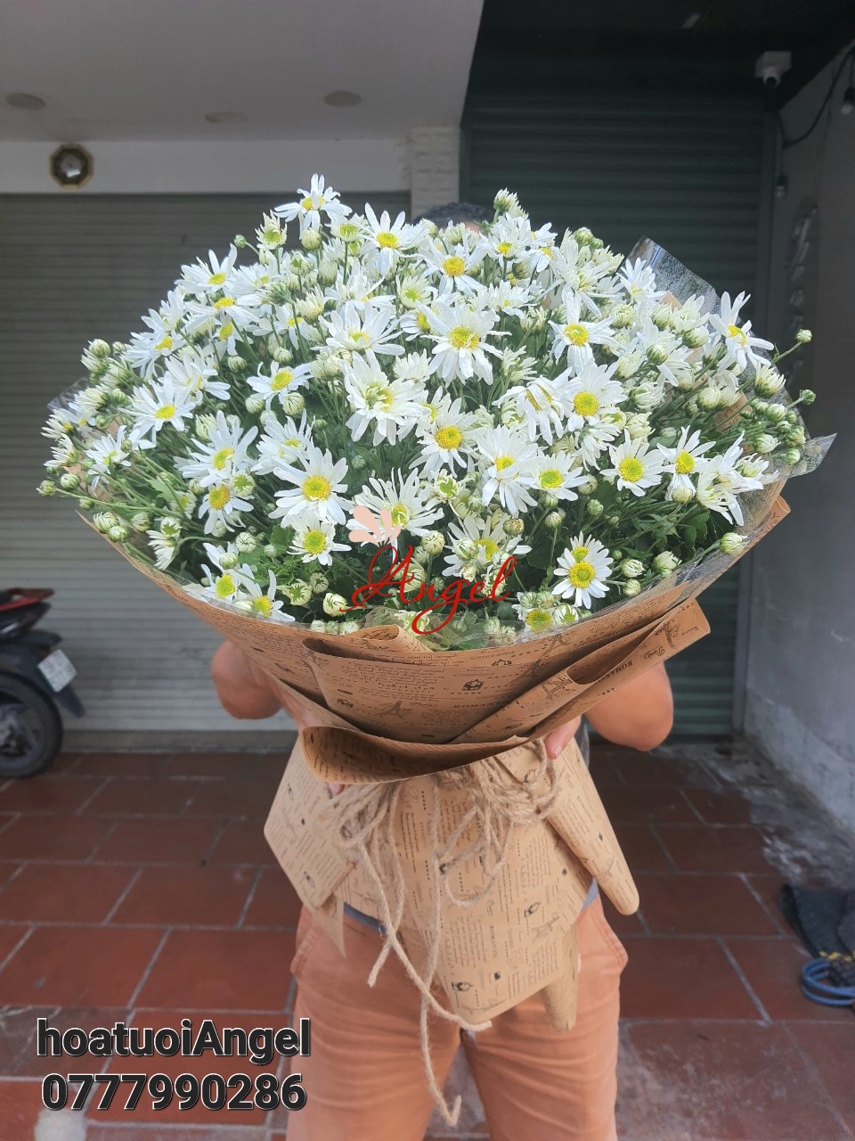 HỌA MI NỒNG NÀN HÀ NỘI