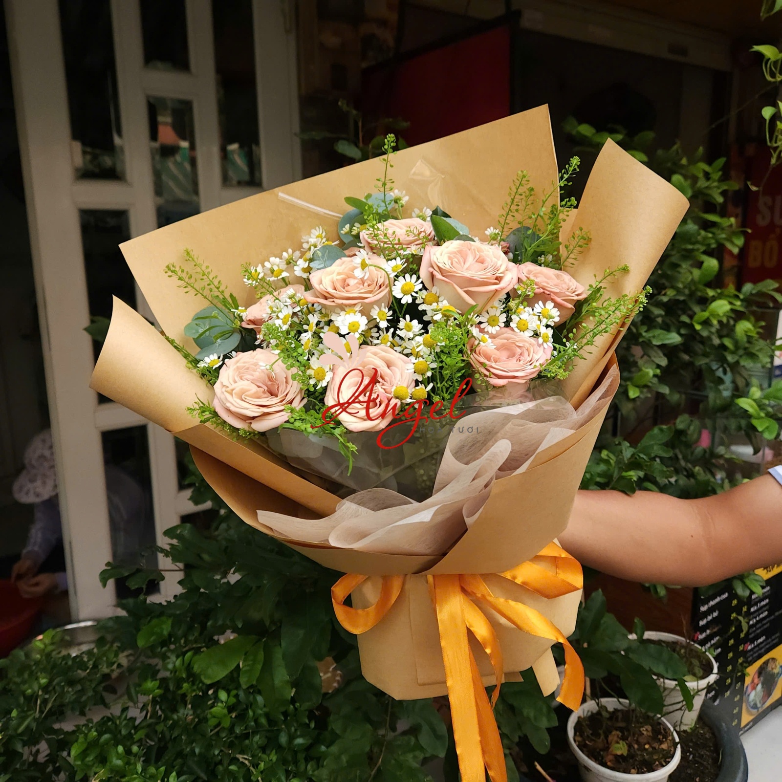 Bó hoa Capuchino tặng bạn gái