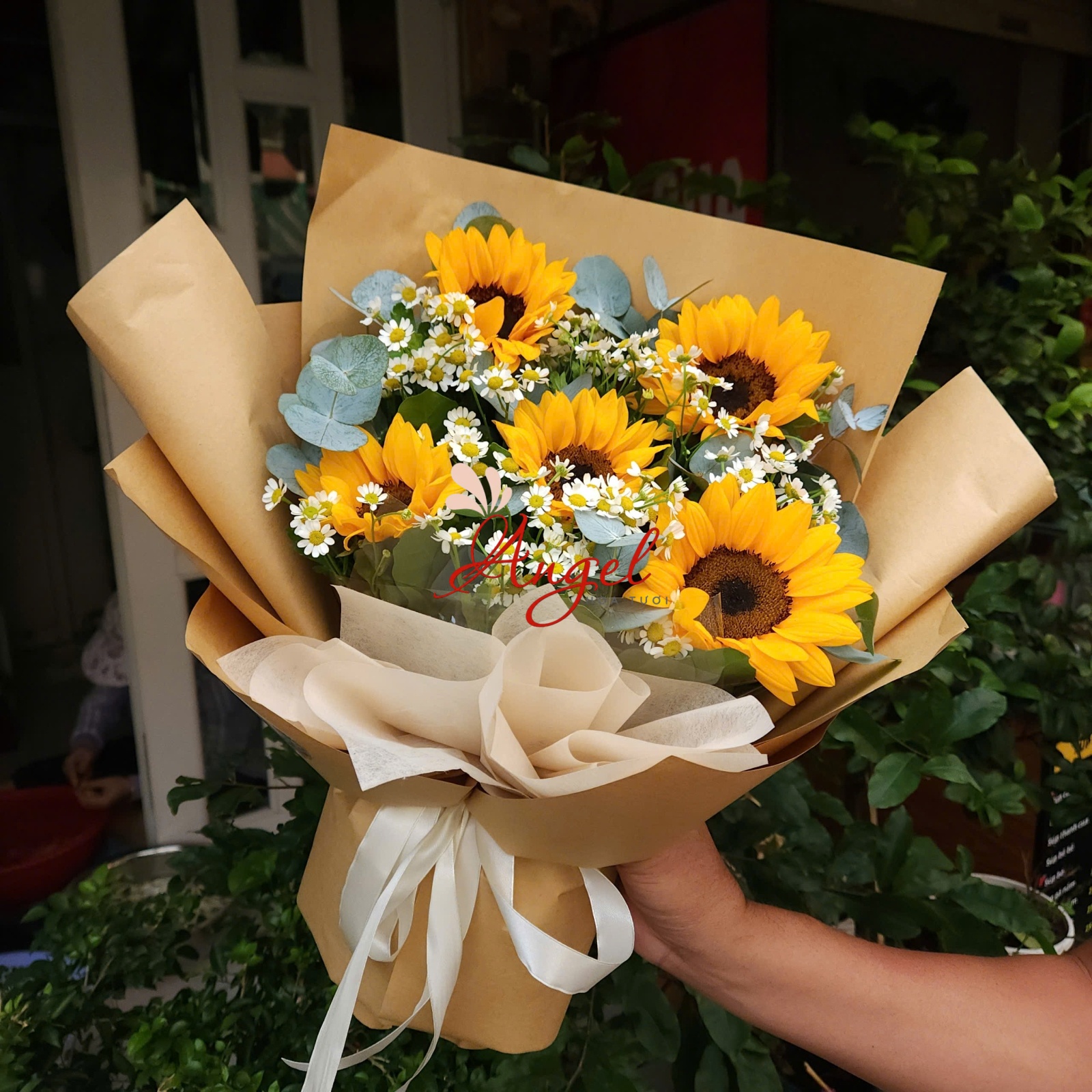 bó hoa hướng dương 5 bông