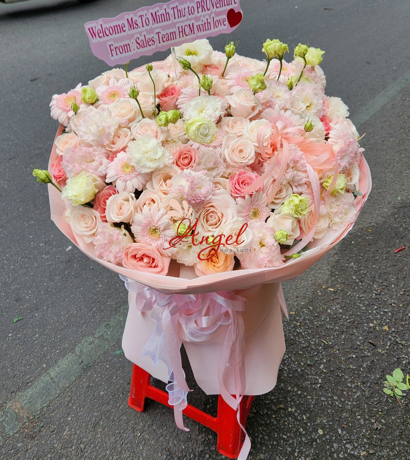 bó hoa hồng tròn pastel đẹp