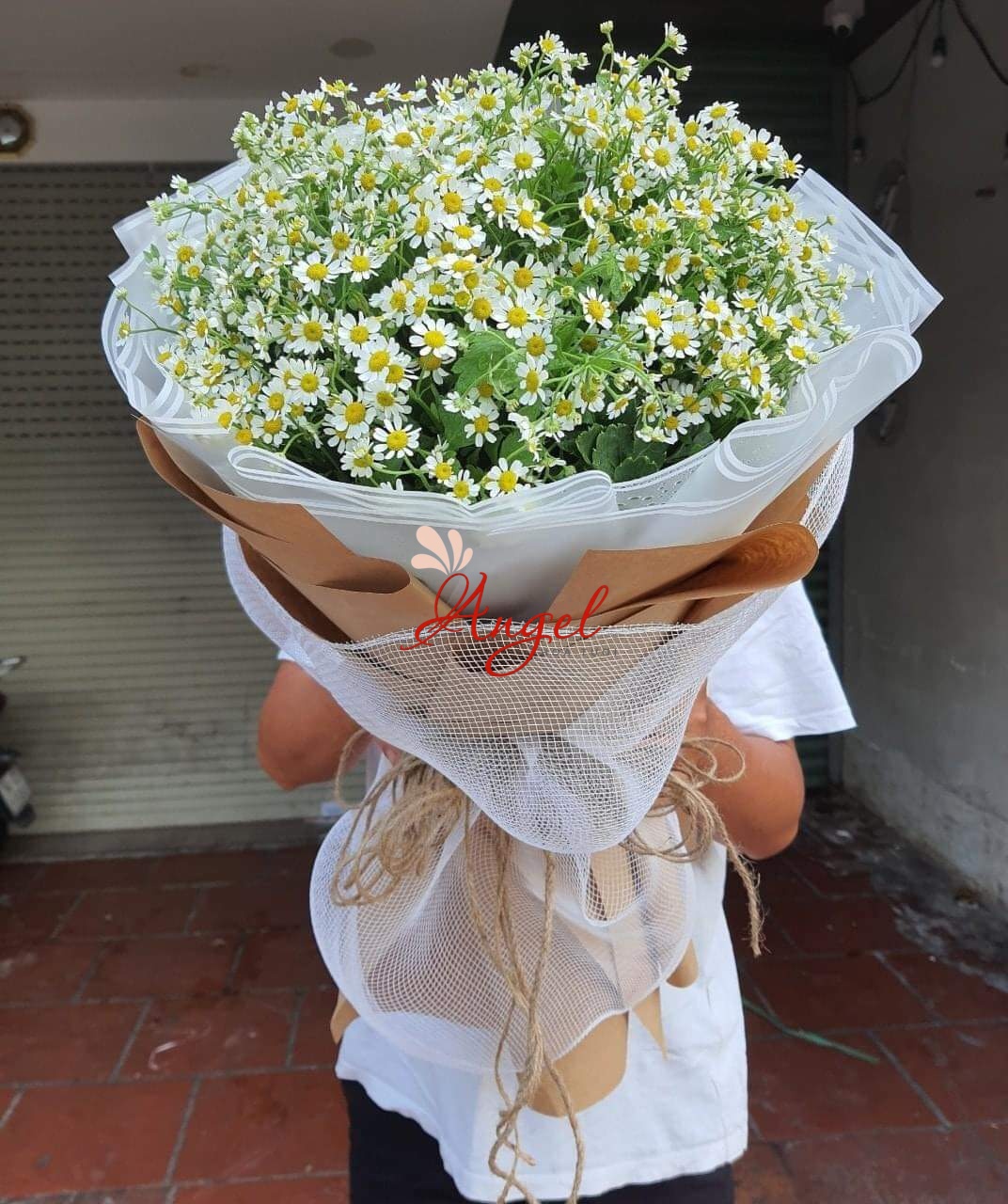 Bó hoa cúc tana đẹp 2024