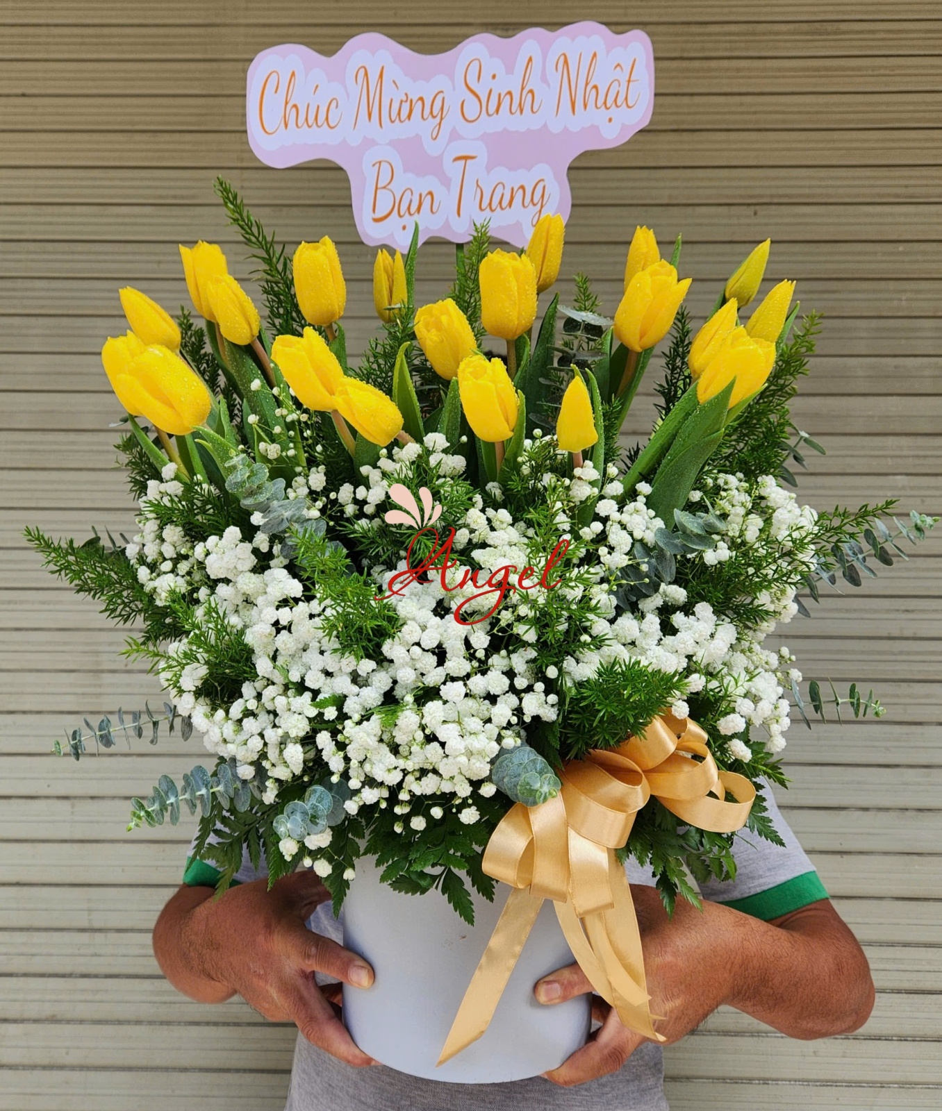Hộp Hoa Tulip Vàng