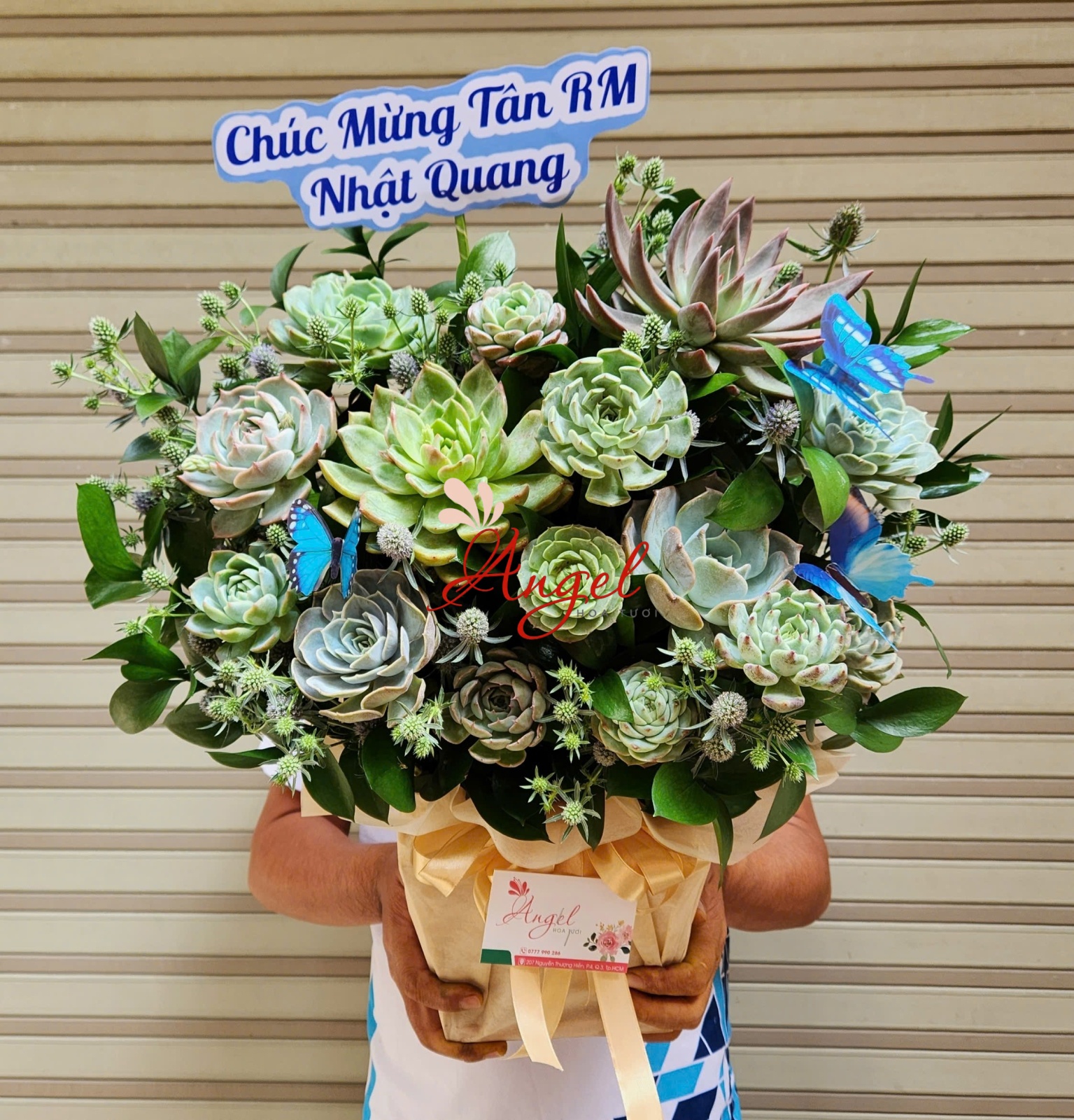 giỏ hoa sen đá giá rẻ